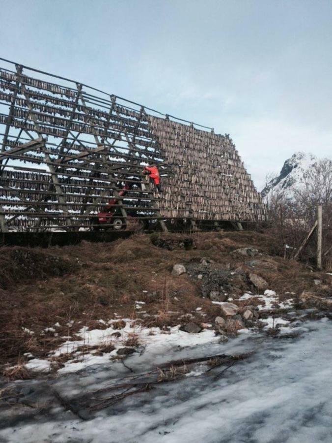Koselig Hus Naert Havet I Lofoten, カベルヴォーグ エクステリア 写真